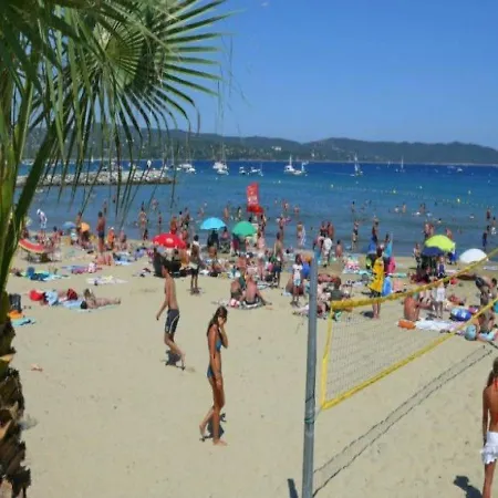 Charmant T2 En Rez-de-jardin Avec Veranda Appartement