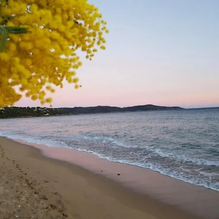 Charmant T2 En Rez-de-jardin Avec Veranda * Cavalaire-sur-Mer